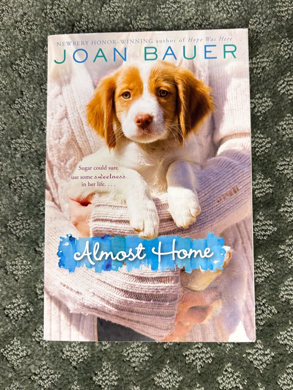 Almost Home by Joan Bauer